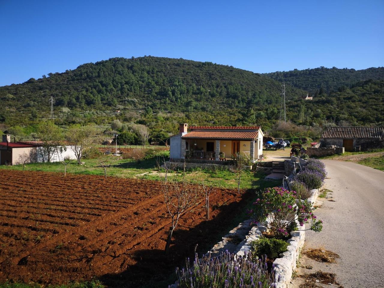 Holiday Home Cvitka 비스 외부 사진