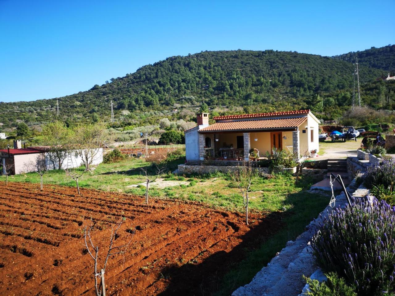 Holiday Home Cvitka 비스 외부 사진